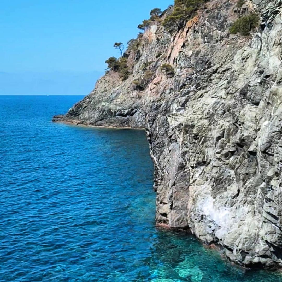 Nido Al Mare Διαμέρισμα Bonassola Εξωτερικό φωτογραφία