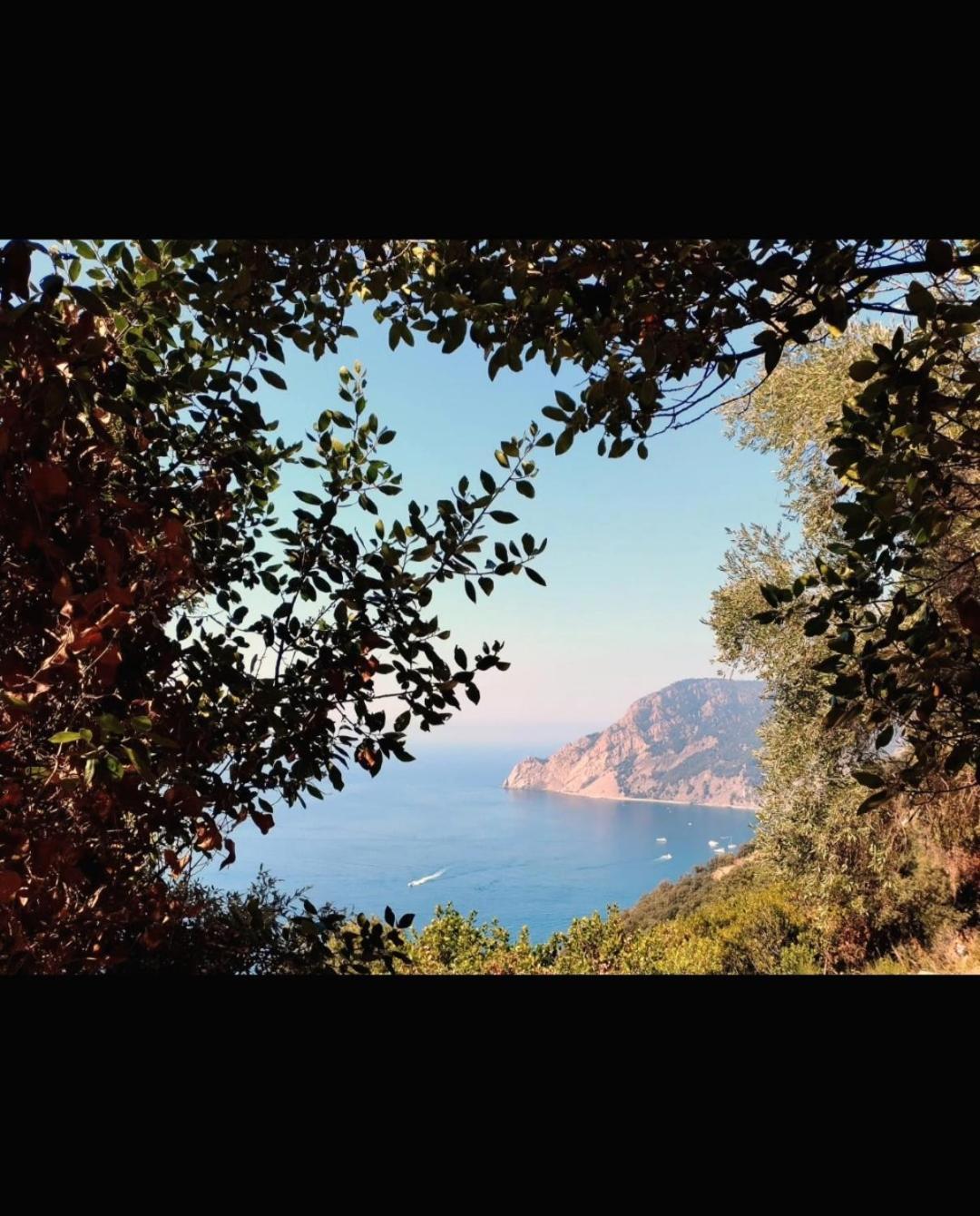 Nido Al Mare Διαμέρισμα Bonassola Εξωτερικό φωτογραφία